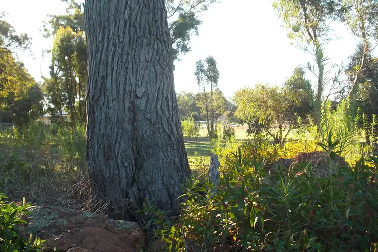 Seventh view of Homely land listing, 4 Bullich Retreat, Jarrahdale WA 6124
