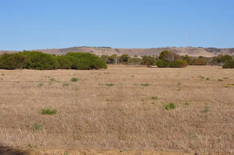 12 Hall Road, Waggrakine WA 6530