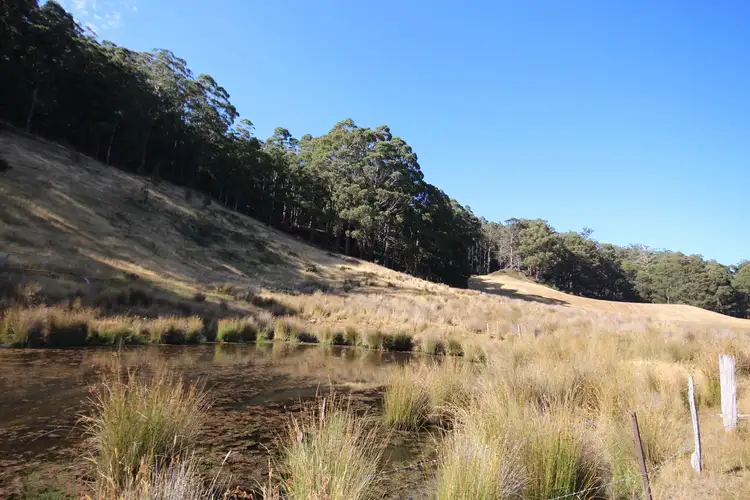 Fifth view of Homely land listing, Lot 2 Gums Road, Mountain River TAS 7109