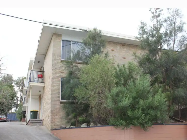 Second view of Homely unit listing, 1/36 Kitchener Parade, The Hill NSW 2300