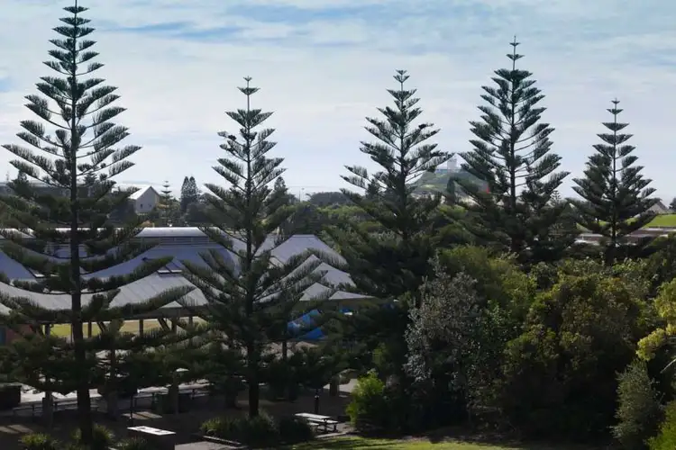 Fifth view of Homely apartment listing, 4/28 Stevenson Place, Newcastle East NSW 2300