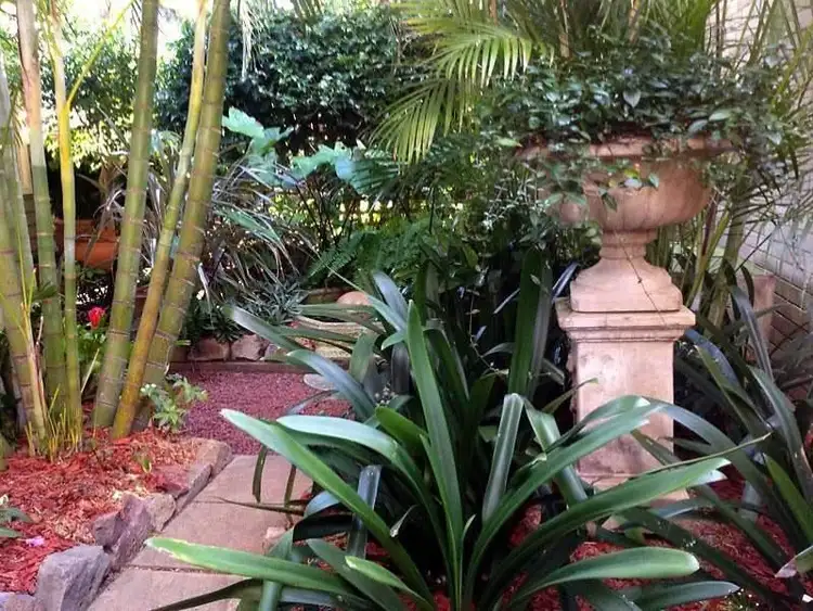 Main view of Homely house listing, 8 Lawson Street, Hamilton NSW 2303