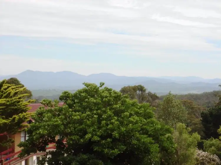 Fifth view of Homely house listing, 19 Scott St, Wolumla NSW 2550