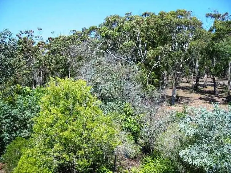 Seventh view of Homely house listing, 6 Kanangra Street, Pambula Beach NSW 2549