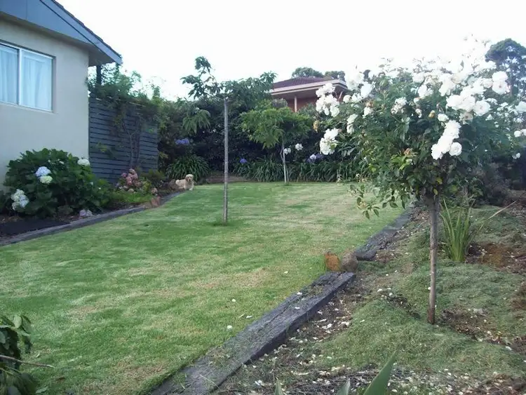 Fifth view of Homely house listing, 6 Ives Street, Pambula NSW 2549
