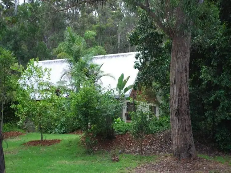 Main view of Homely rural property listing, 319 Millingandi Road, Millingandi NSW 2549