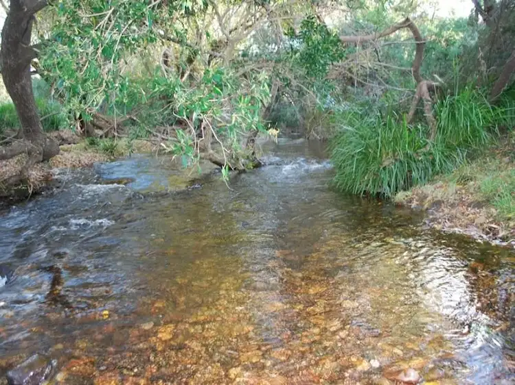 Second view of Homely rural property listing, 1470 Nethercote Road, Greigs Flat NSW 2549