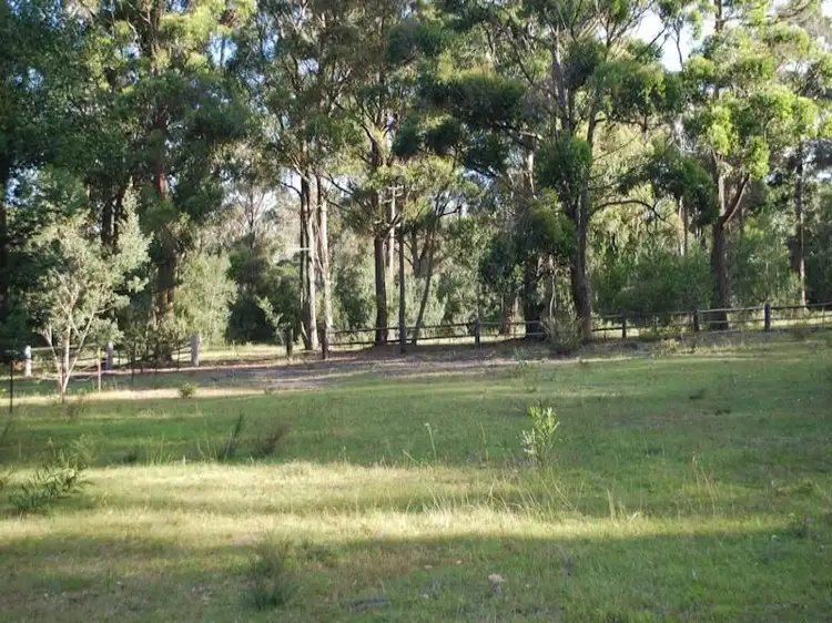 Fourth view of Homely rural property listing, 1470 Nethercote Road, Greigs Flat NSW 2549