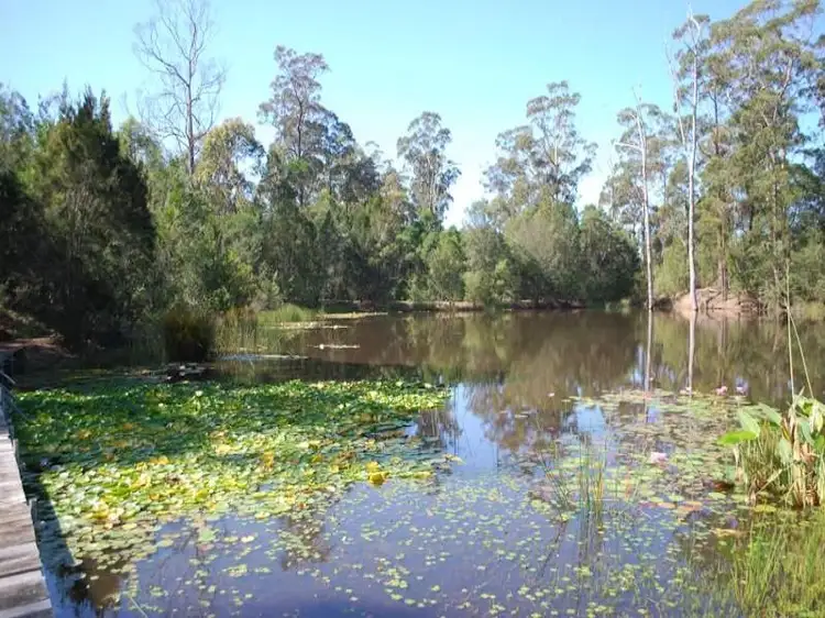 Main view of Homely land listing, 67 Francis Road, Pambula NSW 2549