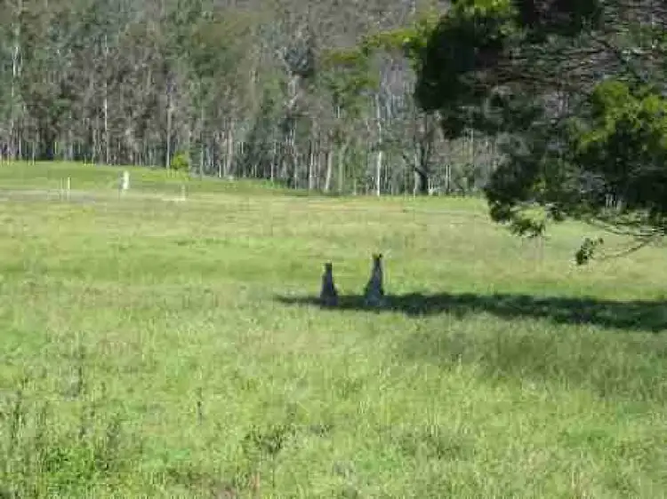 LOT 583 Cowpasture Lane, Pambula NSW 2549