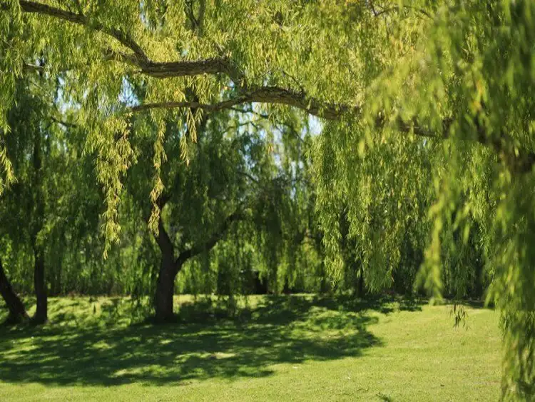 Second view of Homely retirement listing, Address available on request