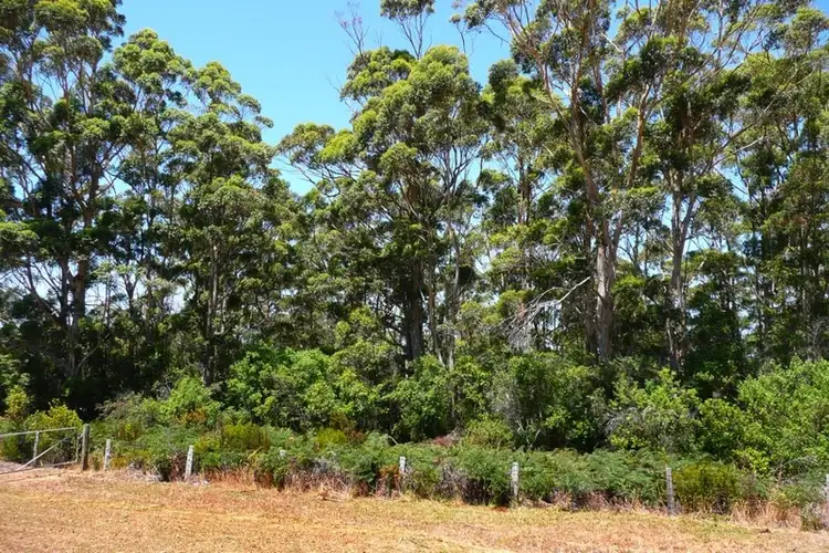 Fifth view of Homely land listing, 5 Tomkin Drive, Denmark WA 6333