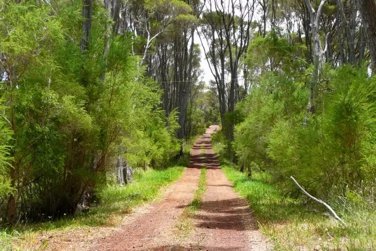 Fourth view of Homely house listing, 431 South Coast Highway, Denmark WA 6333