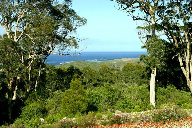 Second view of Homely house listing, 47 Burke Place, Denmark WA 6333