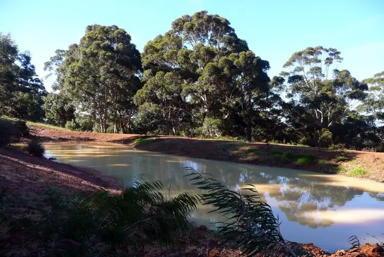 Seventh view of Homely rural property listing, 3 Mooney Valley Place, Denmark WA 6333
