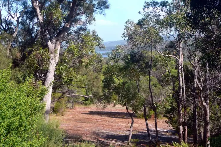 Second view of Homely house listing, 90 Springdale Heights, Denmark WA 6333
