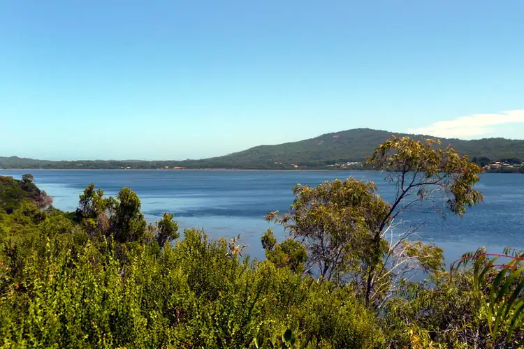 Fifth view of Homely rural property listing, Lot 102 Nullaki Drive, Nullaki WA 6330
