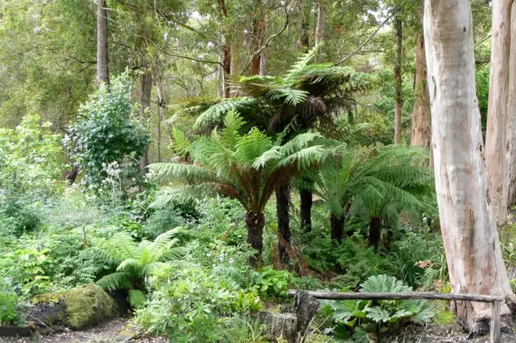 Second view of Homely rural property listing, Lot 56 Sheoak Drive, Denmark WA 6333