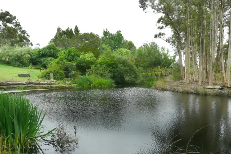 Fourth view of Homely rural property listing, Lot 56 Sheoak Drive, Denmark WA 6333