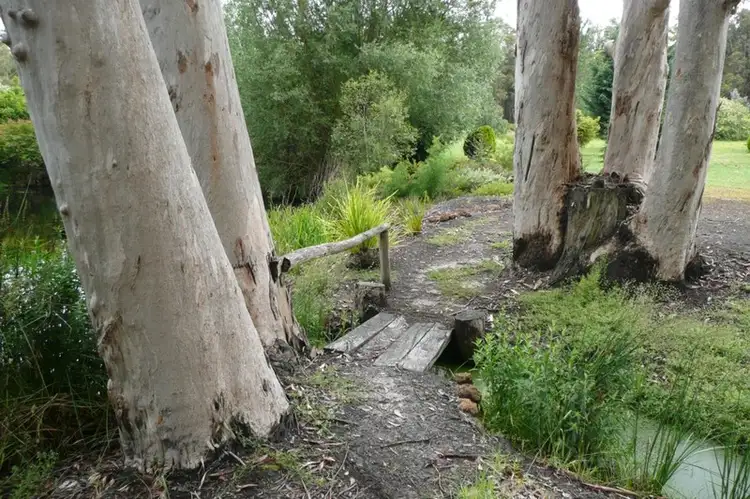 Fifth view of Homely rural property listing, Lot 56 Sheoak Drive, Denmark WA 6333