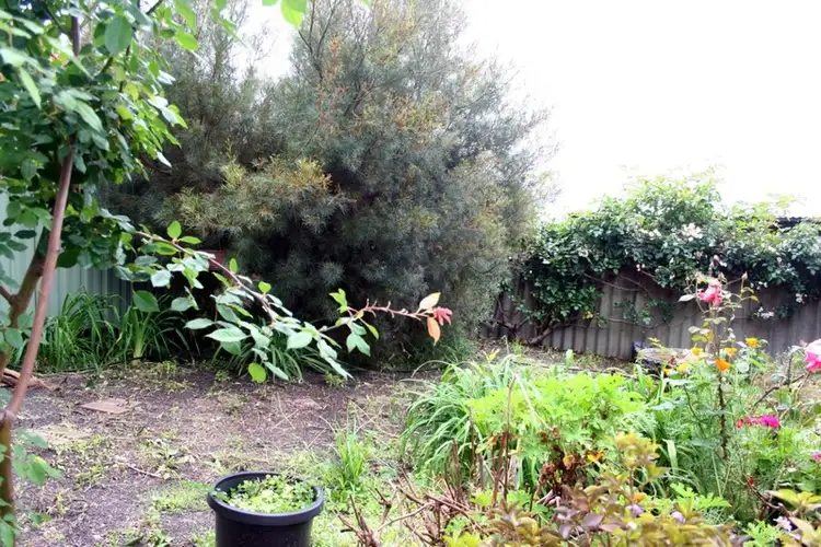 Sixth view of Homely house listing, 29B Bavin Street, Denmark WA 6333