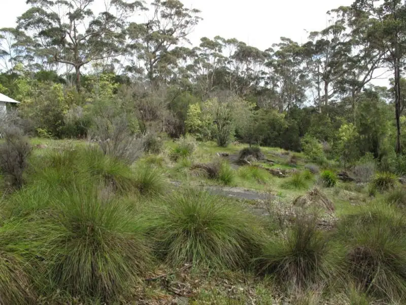 Main view of Homely land listing, 767 Mount Shadforth Road, Denmark WA 6333