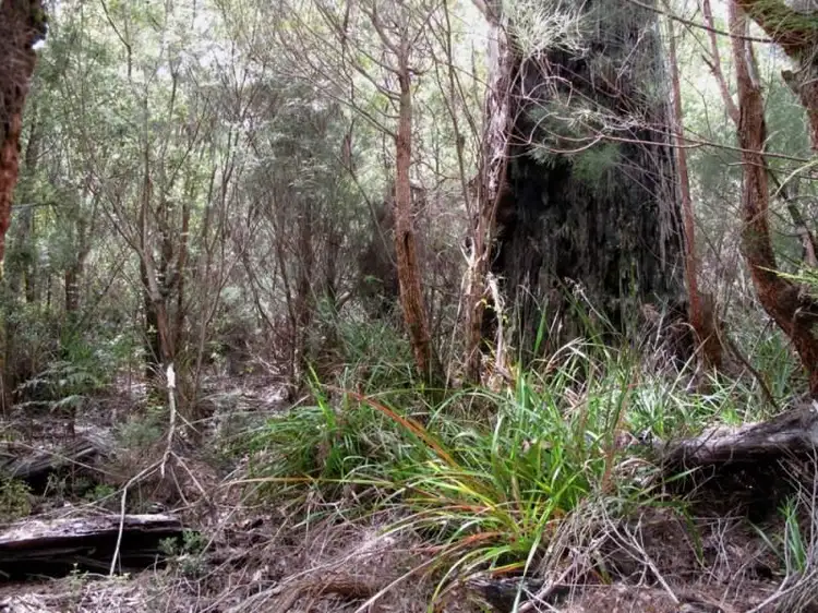 Fourth view of Homely land listing, 767 Mount Shadforth Road, Denmark WA 6333