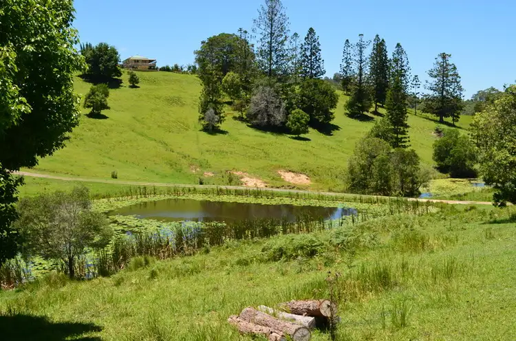 Second view of Homely rural property listing, 46 Window Road, Canina QLD 4570