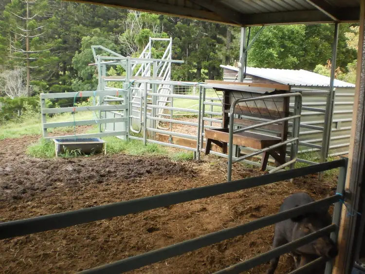 Sixth view of Homely rural property listing, 46 Window Road, Canina QLD 4570