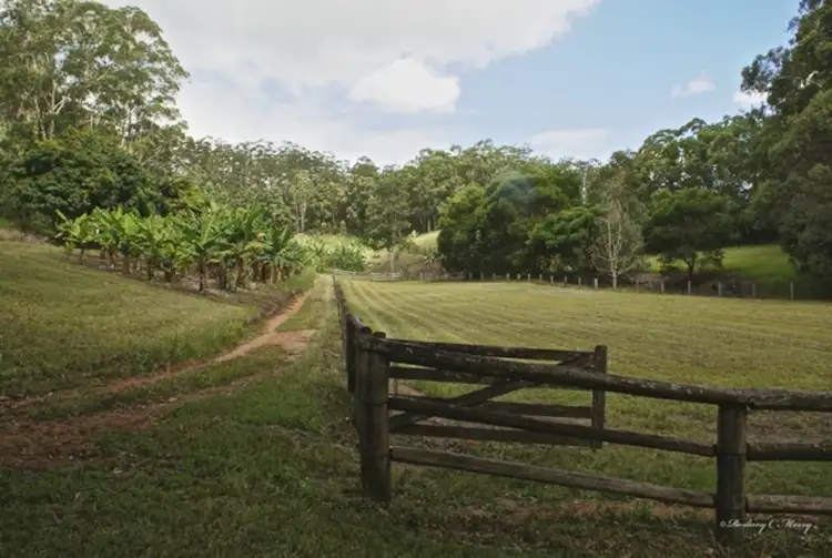 Third view of Homely rural property listing, 450 McConnell Road, Caboolture QLD 4510