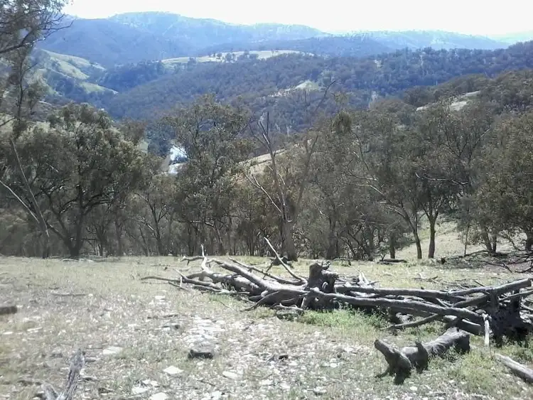 Sixth view of Homely rural property listing, Address available on request