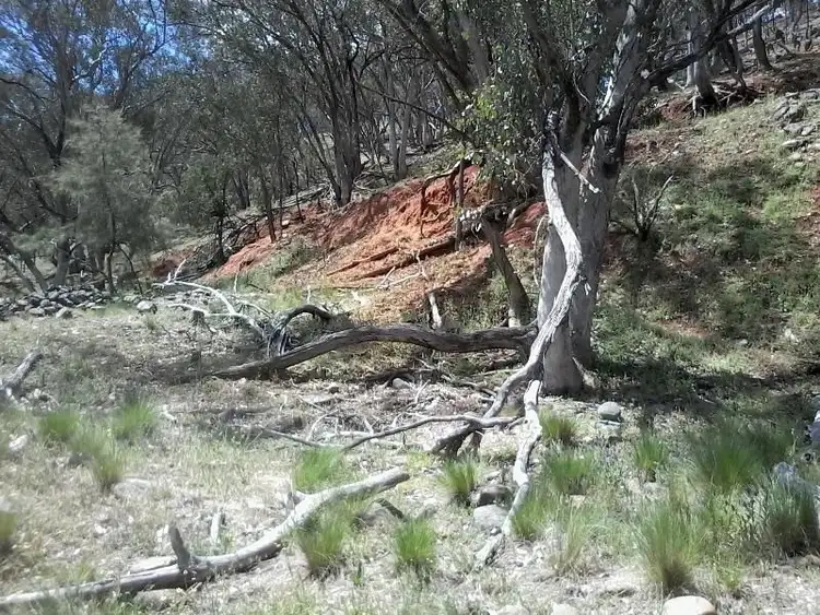 Seventh view of Homely rural property listing, Address available on request