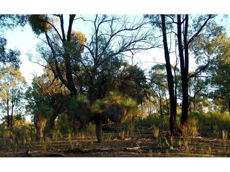 Second view of Homely land listing, LOT 1, 58 Delaney Road, Nagambie VIC 3608