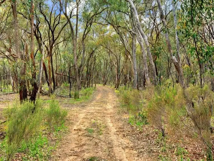 Seventh view of Homely land listing, 37A Sungarrin Road, Tallarook VIC 3659