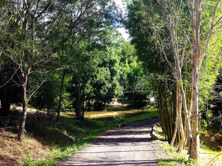 Fourth view of Homely house listing, 51 Duhs Road, Nambour QLD 4560