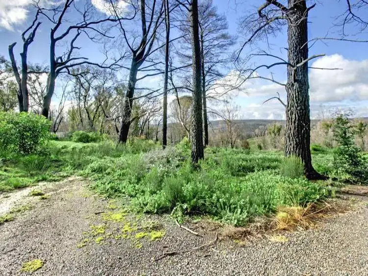 Fourth view of Homely land listing, 305 North Mountain Road, Heathcote Junction VIC 3758
