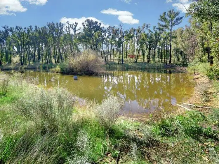 Fifth view of Homely land listing, 720 Spur Road, Clonbinane VIC 3658