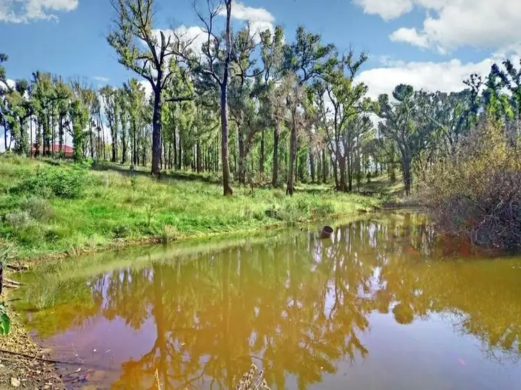 Main view of Homely land listing, 720 Spur Road, Clonbinane VIC 3658