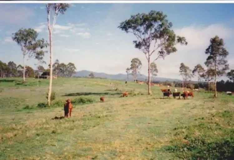 Address available on request