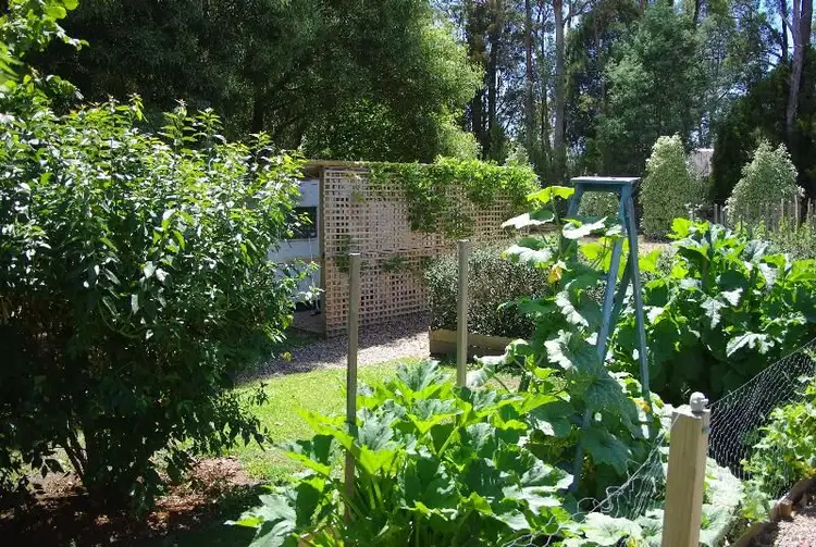 Sixth view of Homely rural property listing, Address available on request