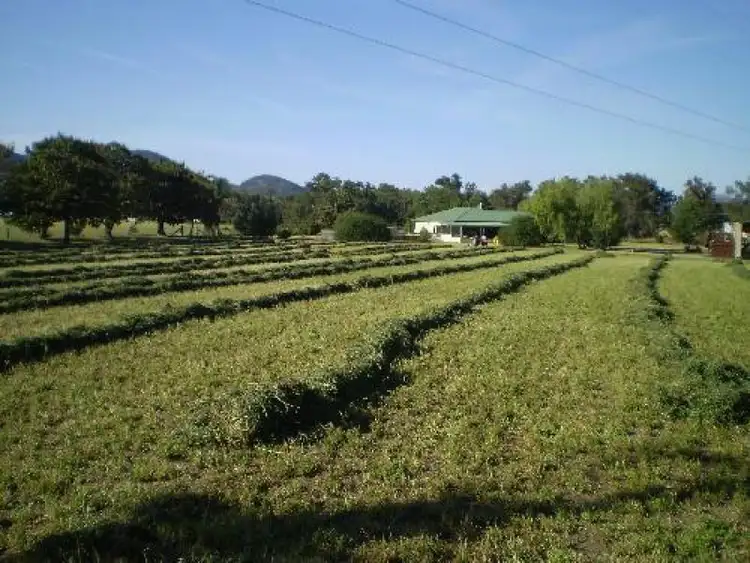 Fifth view of Homely rural property listing, Address available on request
