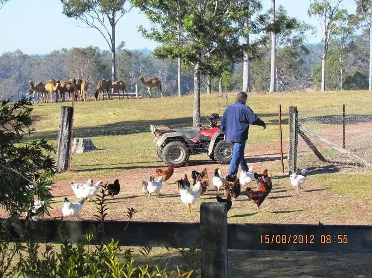 Sixth view of Homely rural property listing, 264 Thompson A Rd, Woocoo QLD 4620