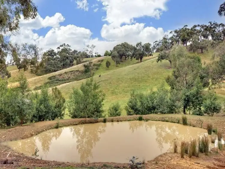Sixth view of Homely house listing, 367 REEDY CREEK ROAD, Reedy Creek VIC 3658