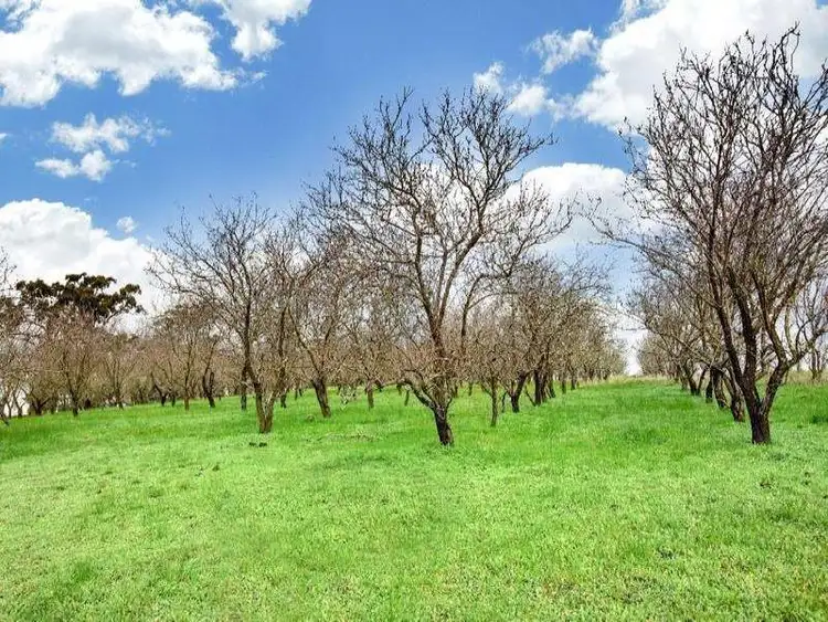 Sixth view of Homely house listing, 60 REDGUM ROAD, Broadford VIC 3658