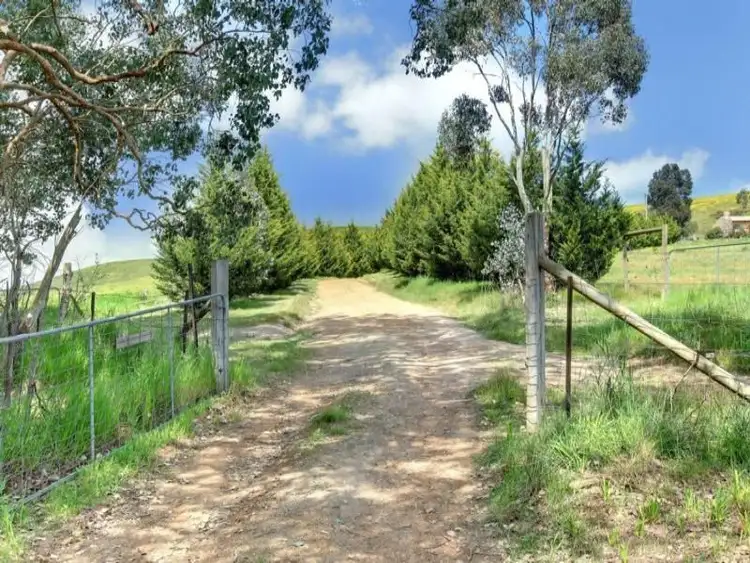 Fourth view of Homely house listing, 1010 Strath Creek Road, Tyaak VIC 3658