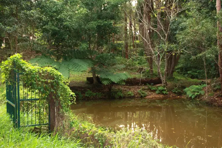 Second view of Homely rural property listing, 500 Glenview Rd, Glenview QLD 4553
