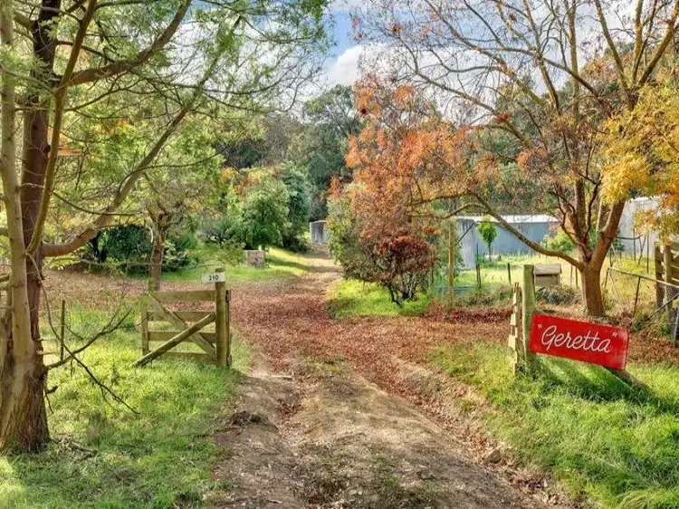 Main view of Homely house listing, 210 PADDYS DAM ROAD, Tooborac VIC 3522