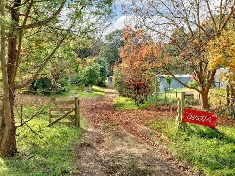 Main view of Homely house listing, 210 PADDYS DAM ROAD, Tooborac VIC 3522