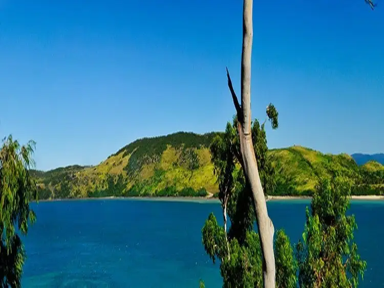 Fourth view of Homely apartment listing, 1/5 Acacia Drive, Hamilton Island QLD 4803