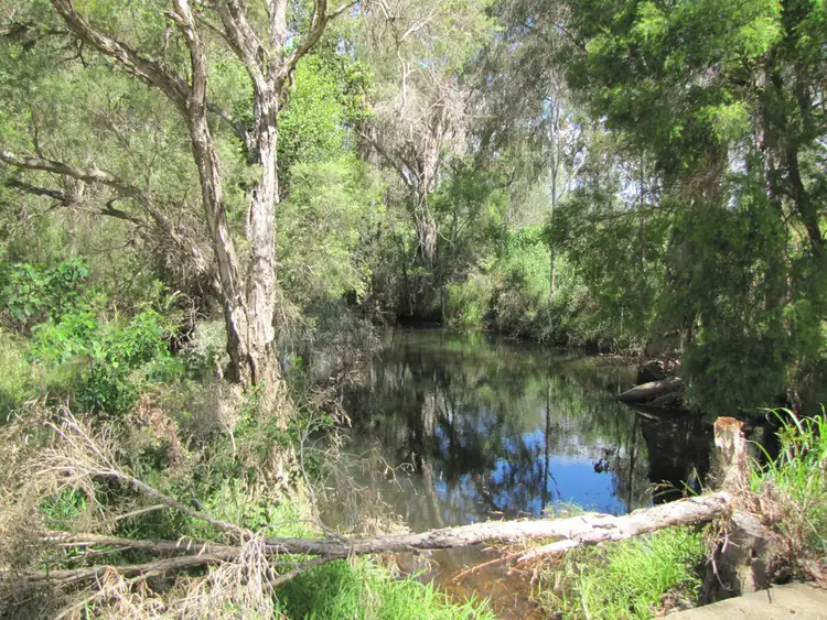 Seventh view of Homely rural property listing, 85 Tableland Road, Calliope QLD 4680